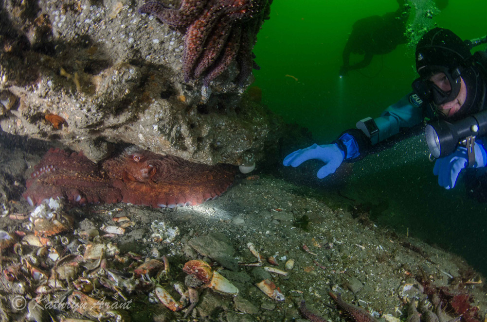 Diving Services Group